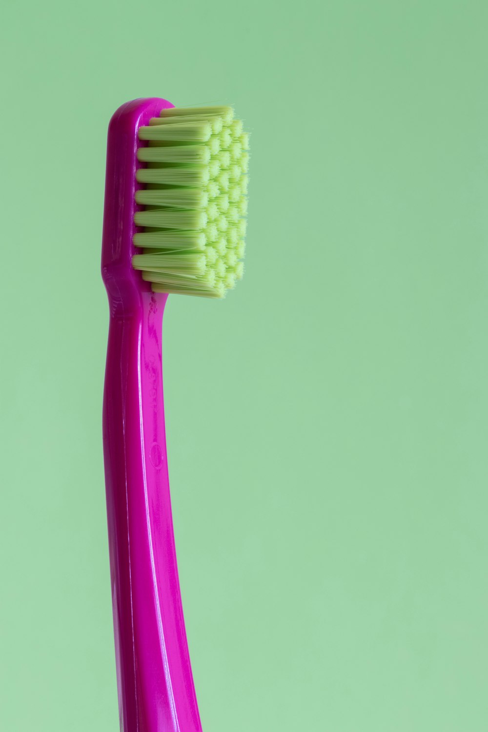 Cepillo de dientes lila sobre fondo verde en su comuna