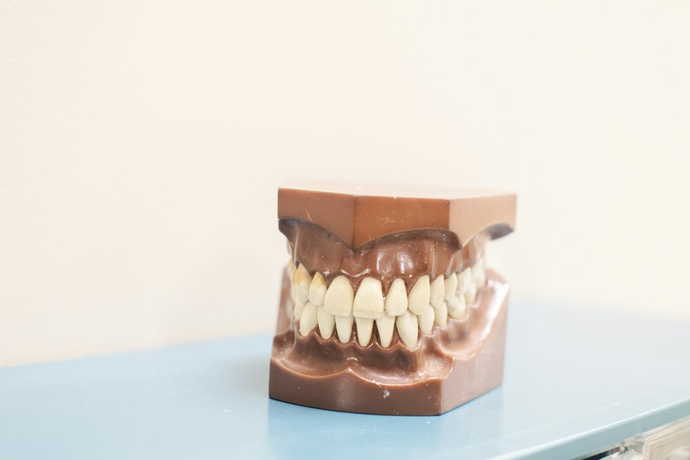 Modelo dental sobre una superficie azul en su comuna